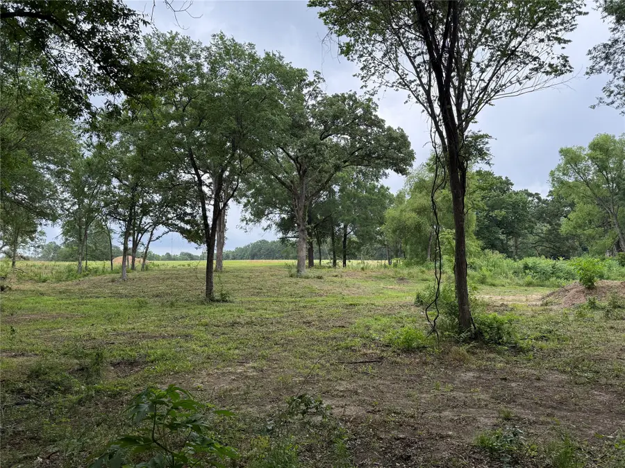 210 Livingston Street, Edgewood, TX 75117 - #3