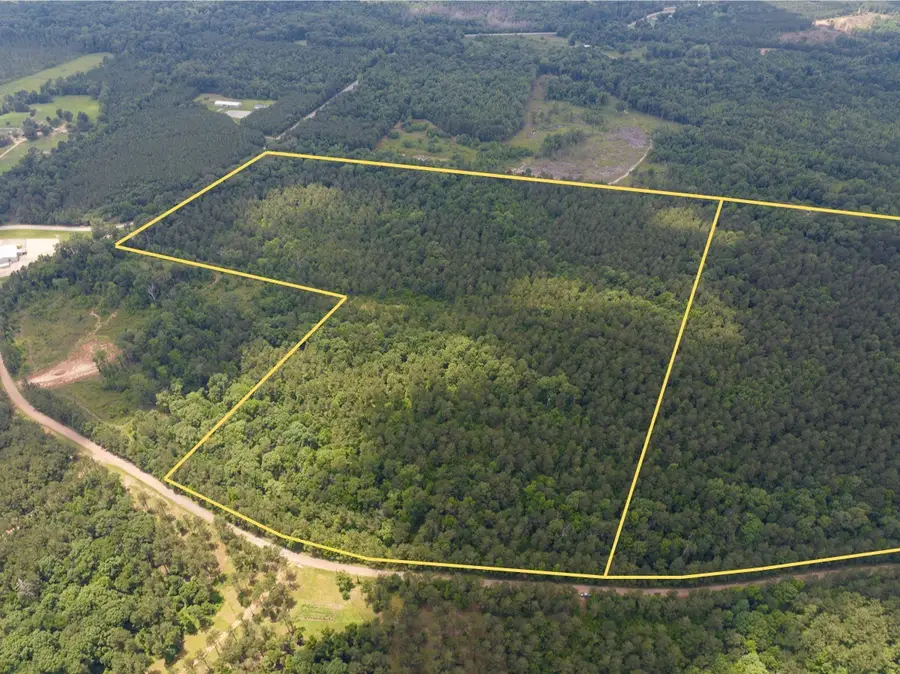 1 Posey Webb Camp Road, Jonesville, LA 71343 - #3