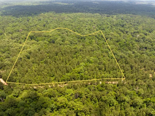 2 Posey Webb Camp Road, Sicily Island, LA 71343