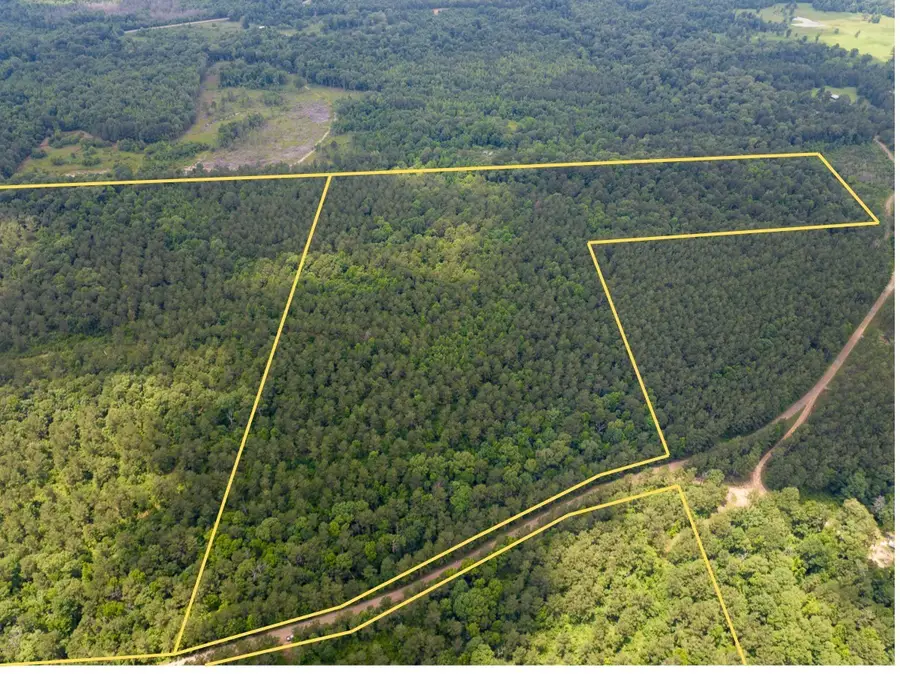 3 Posey Webb Camp Road, Jonesville, LA 71343 - #2