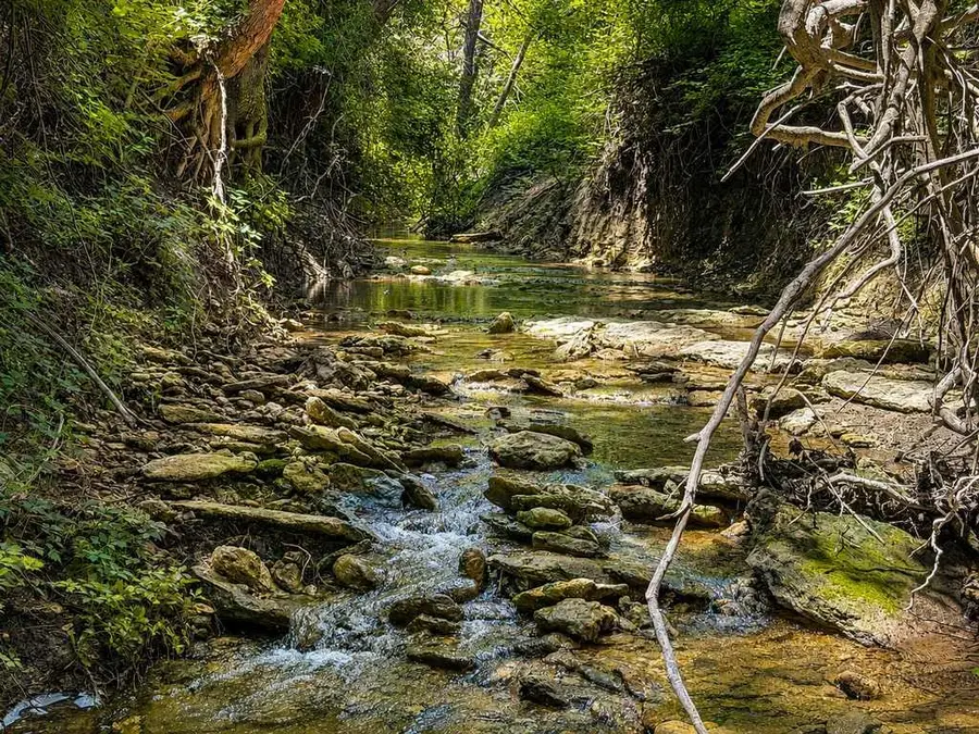 TBD Fm 116, Gatesville, TX 76528 - #3
