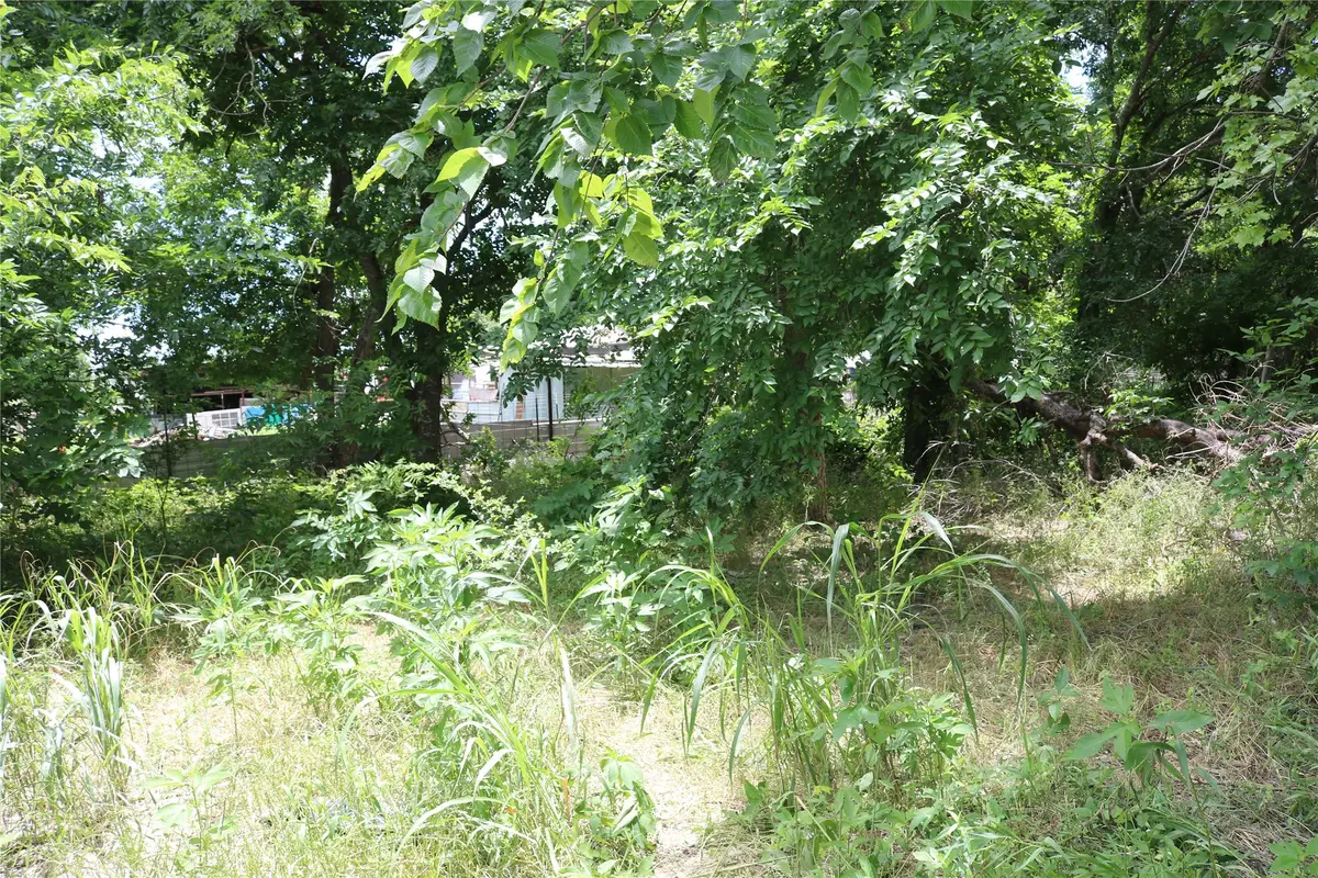 00 County Road 282, Dublin, TX 76446 - #1