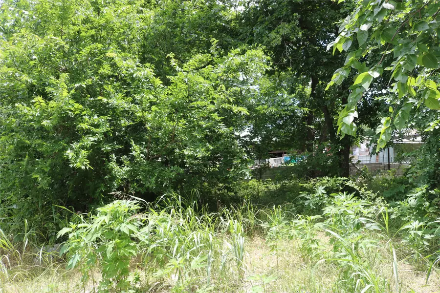00 County Road 282, Dublin, TX 76446 - #3