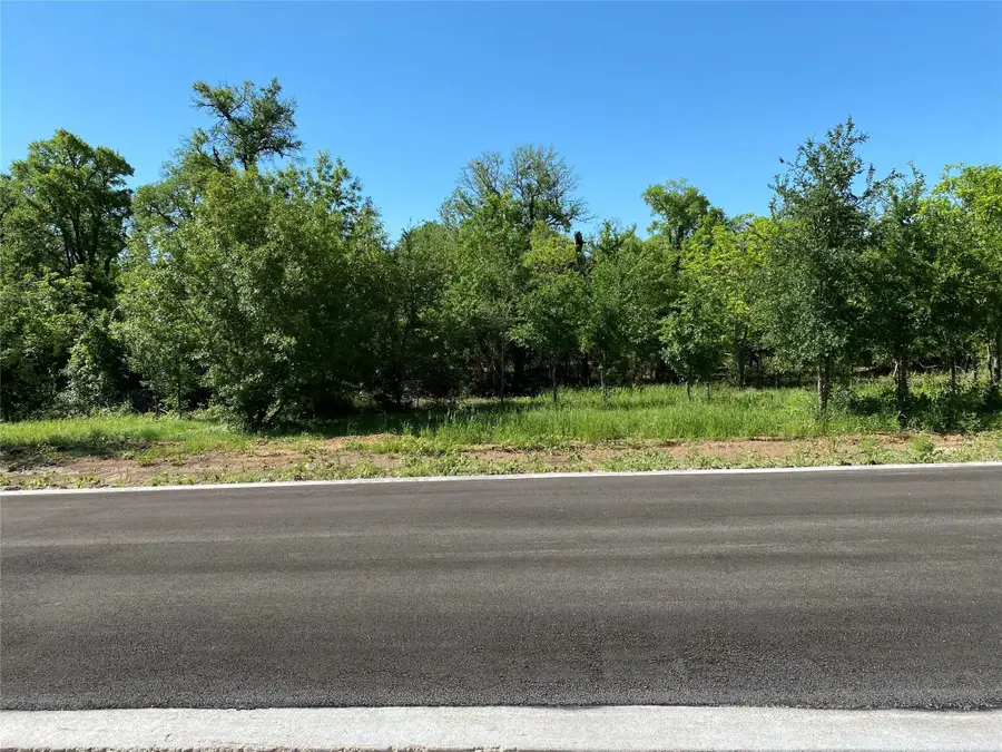 8419 Hollandbush Court, Cleburne, TX 76033 - #3