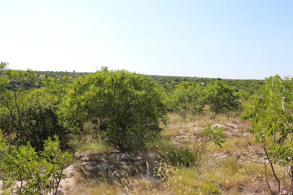 163 Baltrusol Drive, Graford, TX 76449 - #1