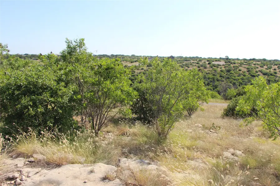163 Baltrusol Drive, Graford, TX 76449 - #3