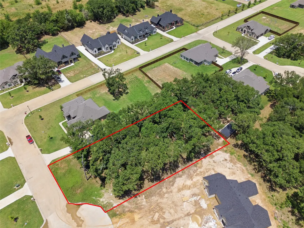 TBD LOT 20 Ellis Avenue, Canton, TX 75103 - #1