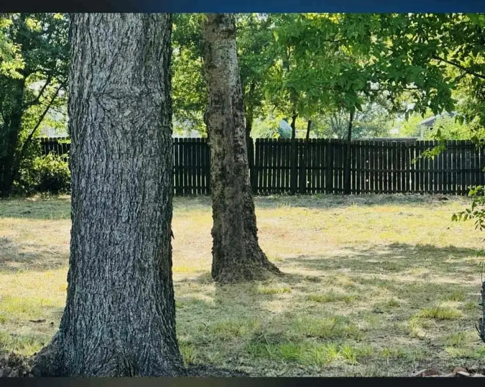 555 N 1st Street, Point, TX 75472 - #1
