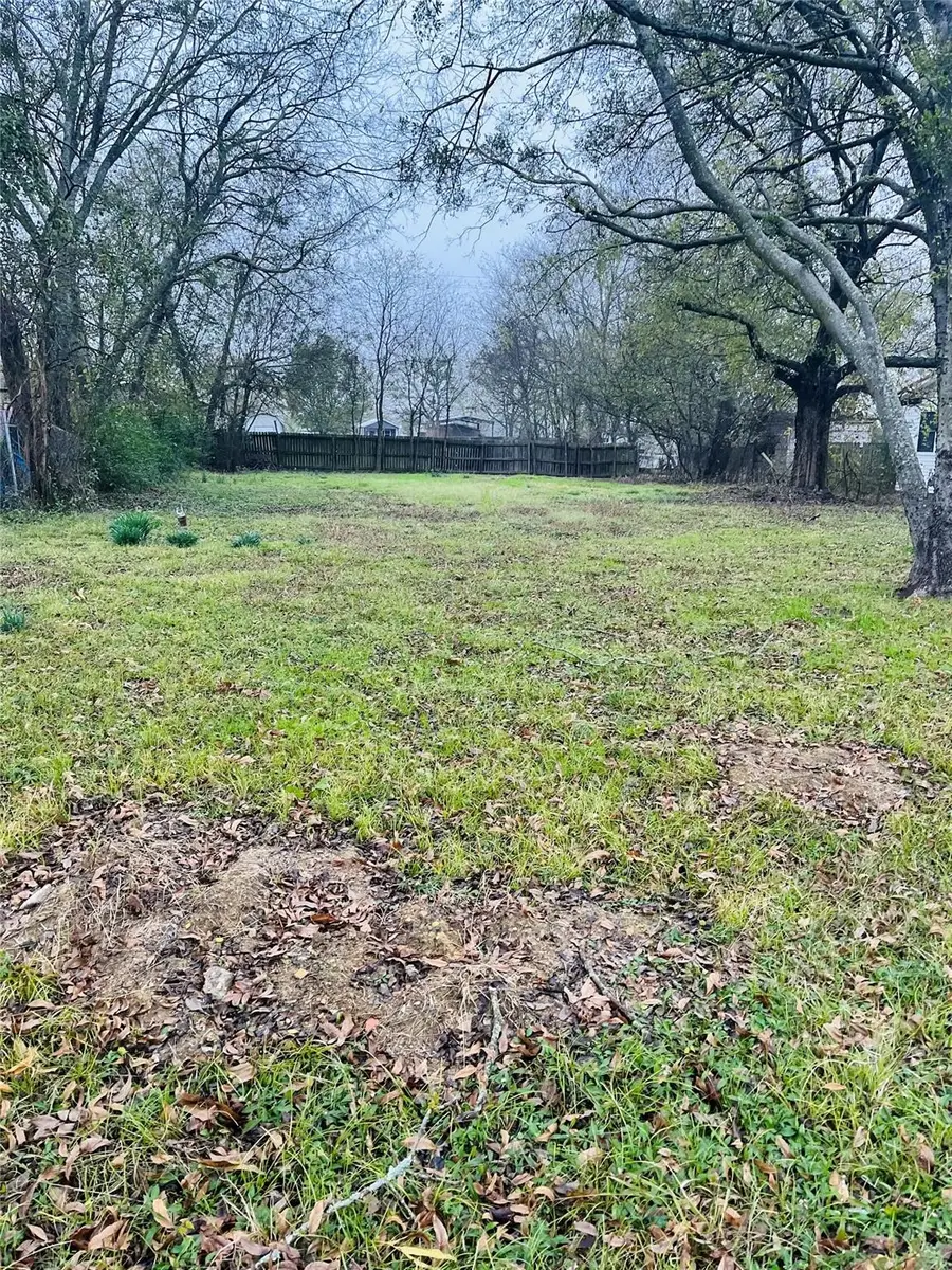 555 N 1st Street, Point, TX 75472 - #3
