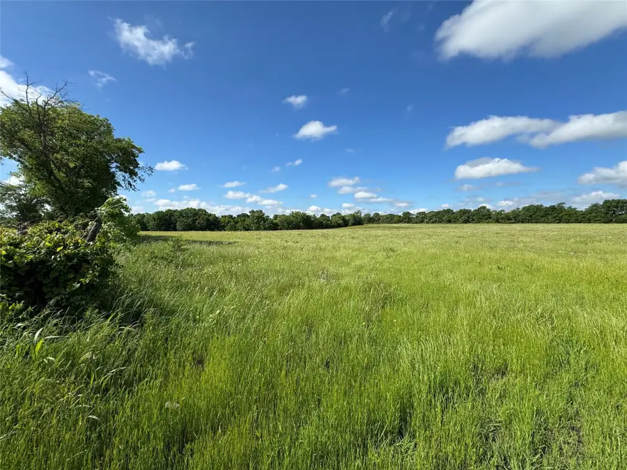 TBD Tribble Road, Sherman, TX 75090 - #2