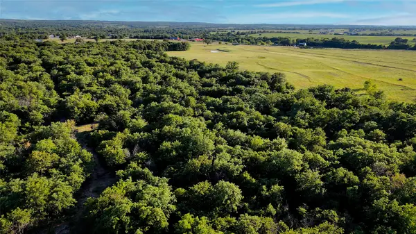181000 Farm To Market 920, Poolville, TX 76487