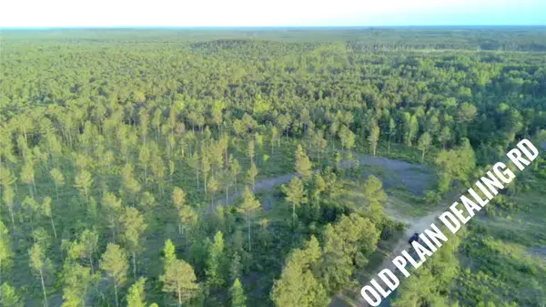 0 Old Plain Dealing Road, Plain Dealing, LA 71064
