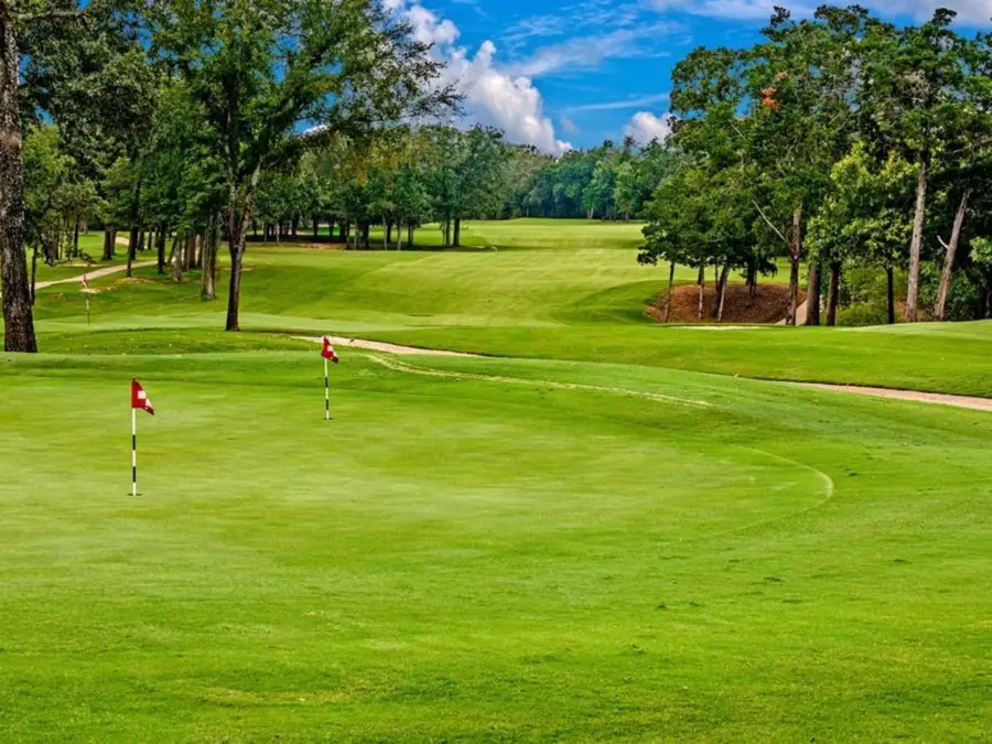 TBD Desert Mountain, Gordonville, TX 76245 - #3