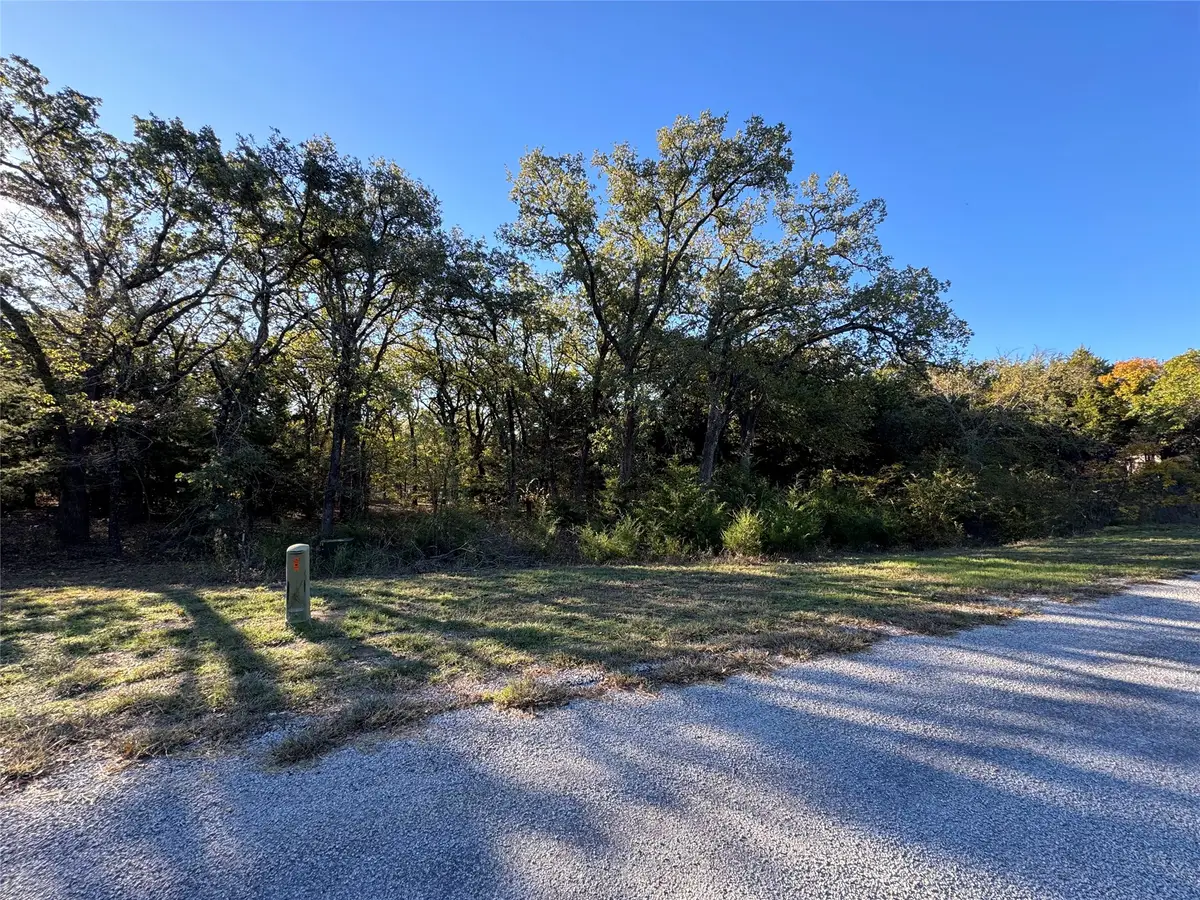 20 Timber Trail, Tioga, TX 76271 - #1