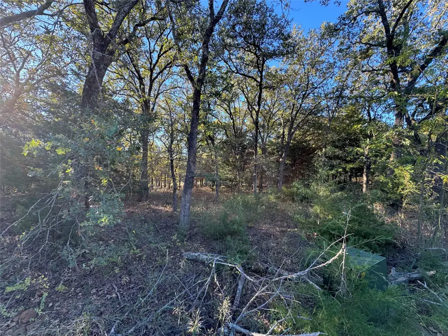 20 Timber Trail, Tioga, TX 76271 - #3