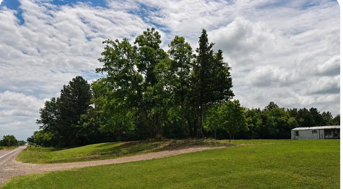 5533 W State Highway 243, Canton, TX 75103 - #1