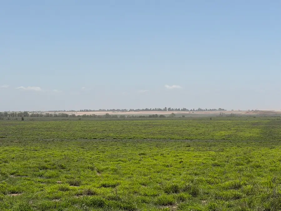 TBD County Road 3, Mobeetie, TX 79061 - #3