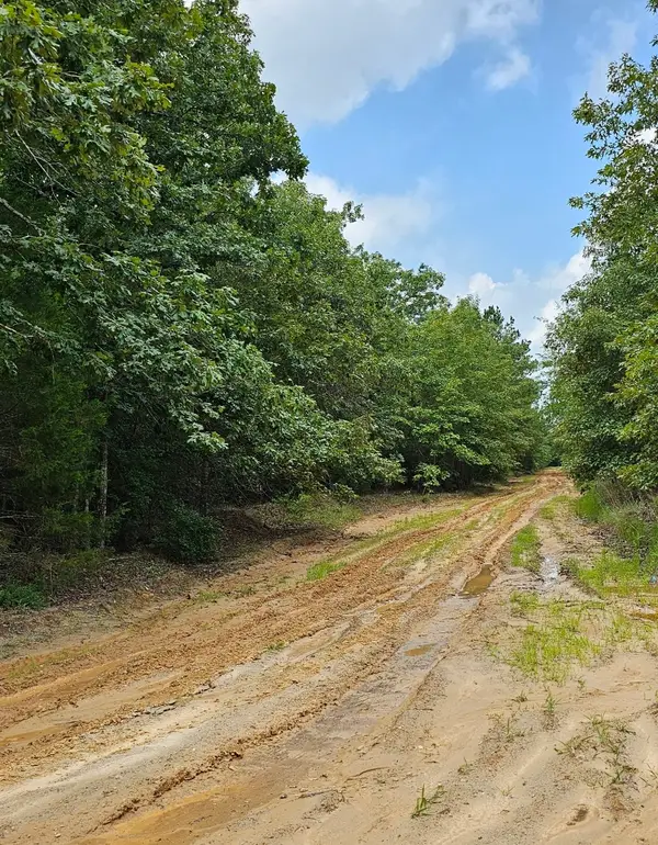 TBD Cristine St, Blossom, TX 75416