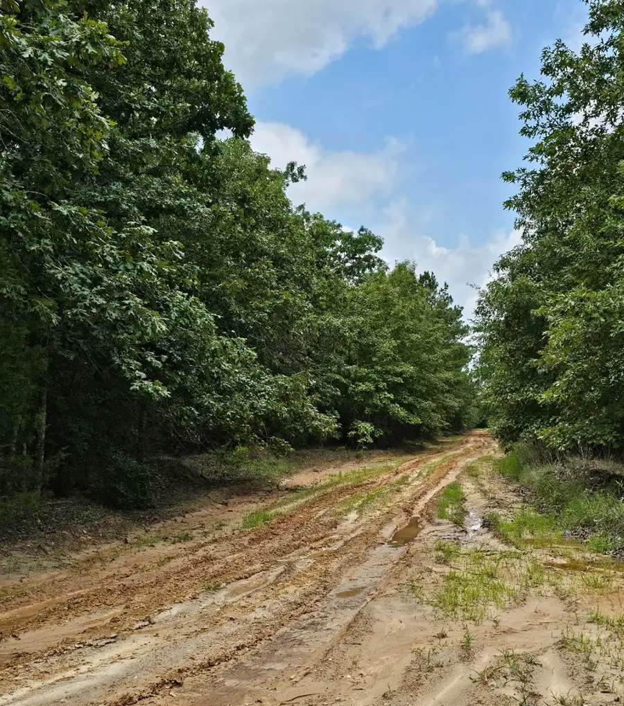 TBD Cristine St, Blossom, TX 75416 - #2