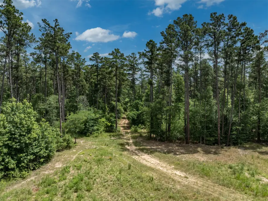 16210 State Highway 110 N, Lindale, TX 75771 - #3