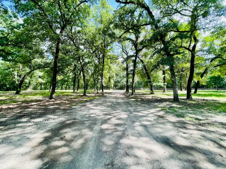 1173 County Road 3163, Quitman, TX 75783 - #2
