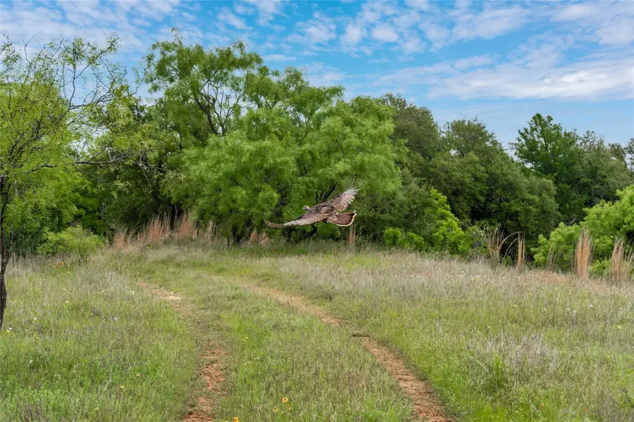 TBD County Road 267, Early, TX 76802 - #2