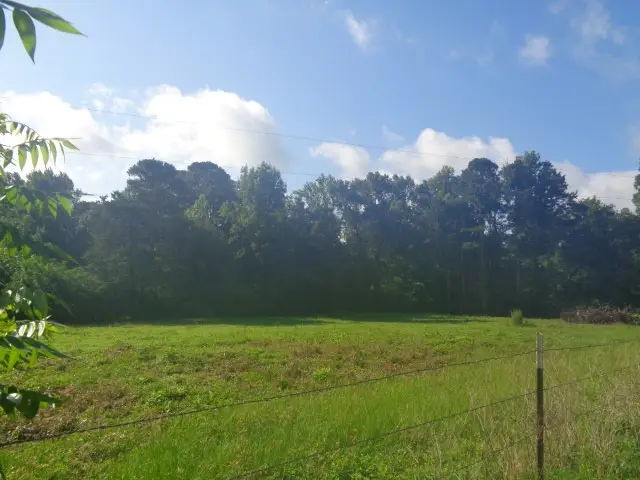 TBD County Road 4568, Quitman, TX 75494 - #1