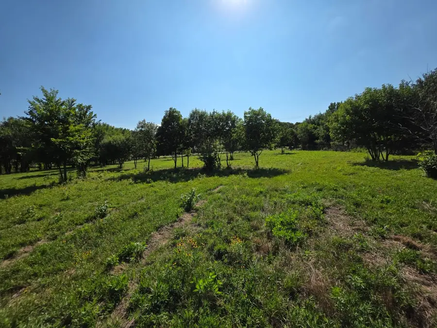 TBD Naylor Road, Oak Point, TX 75068 - #2