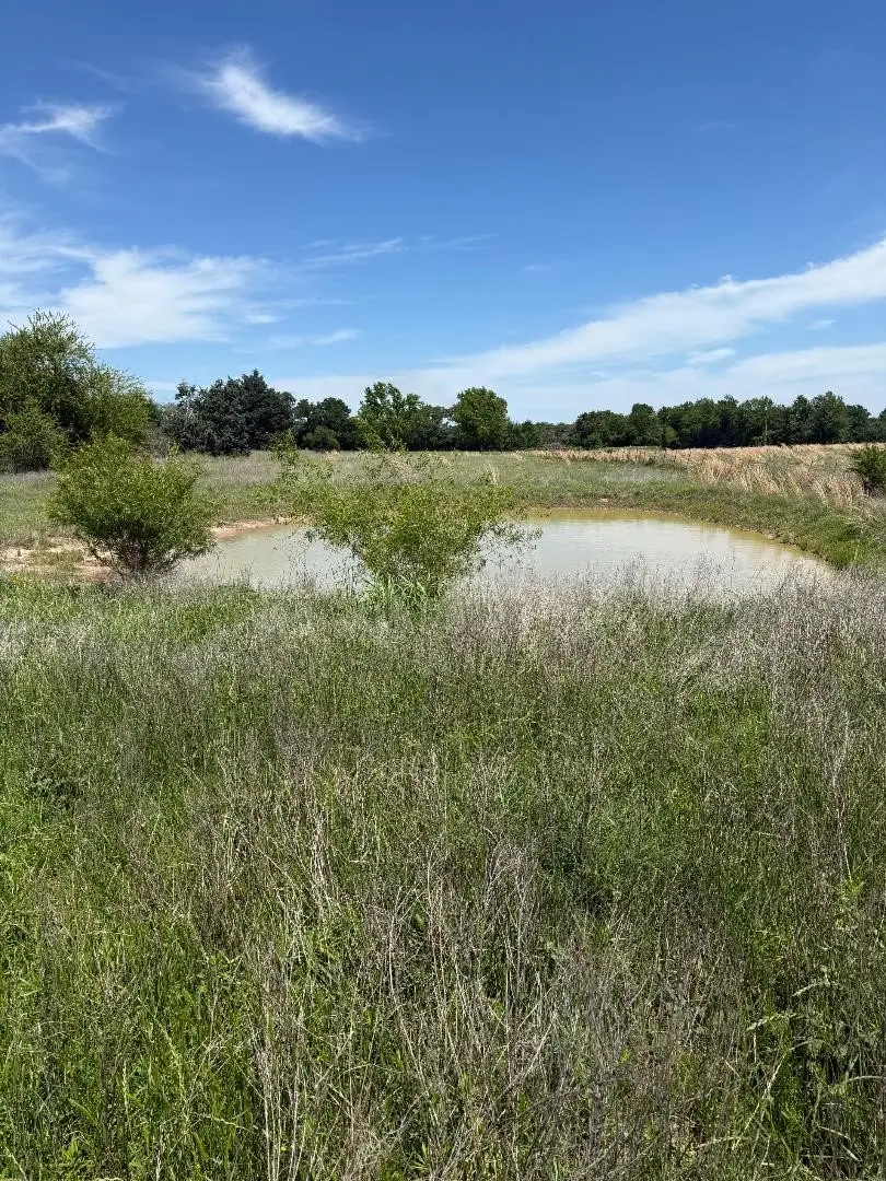 TBD 3 County Road 122, Kaufman, TX 75142 - #2