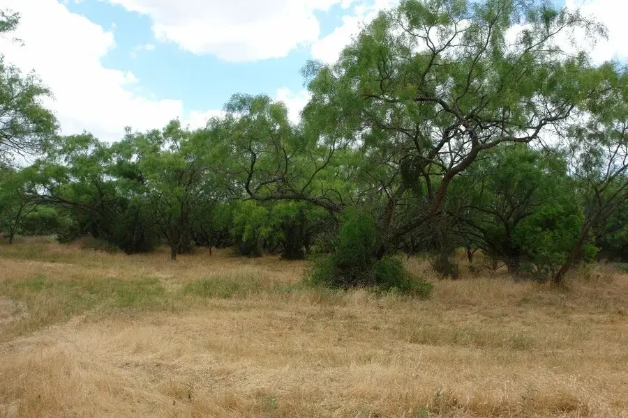 1688 Highway 573, Comanche, TX 76442 - #3