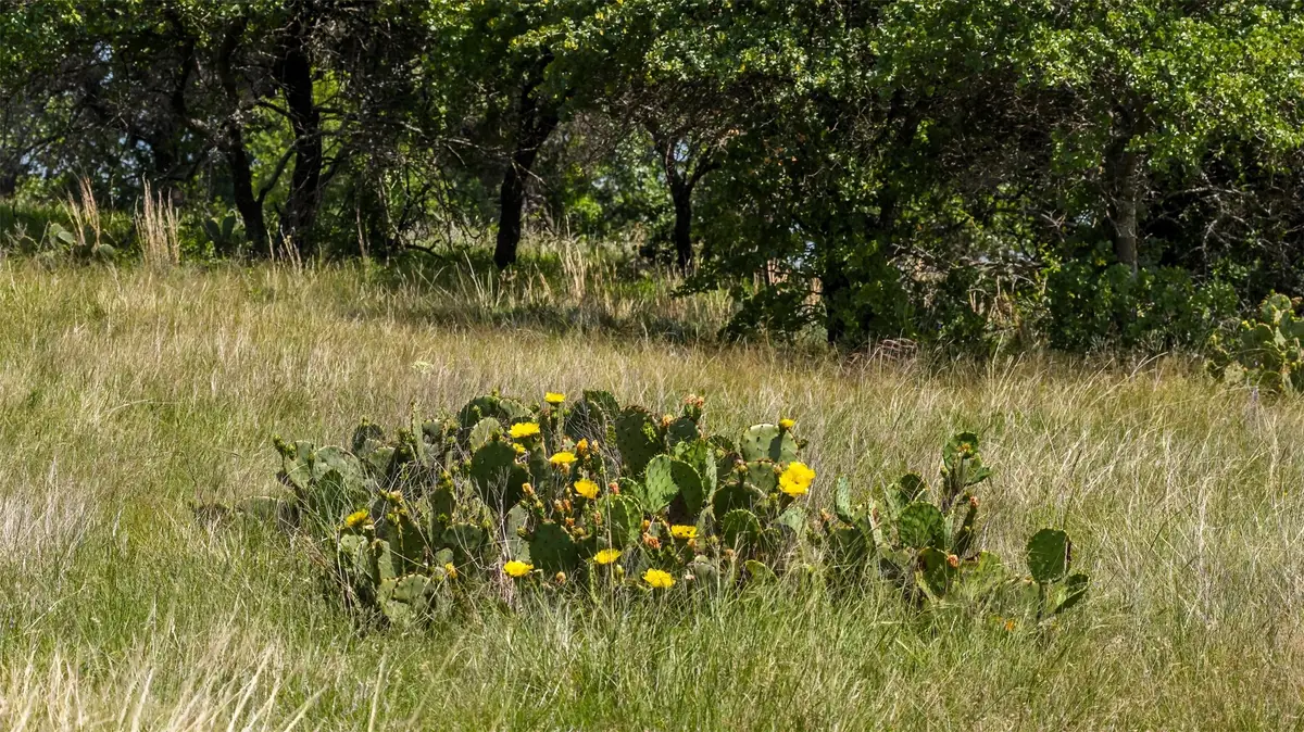 TBD County Road 126, Gordon, TX 76453 - #1