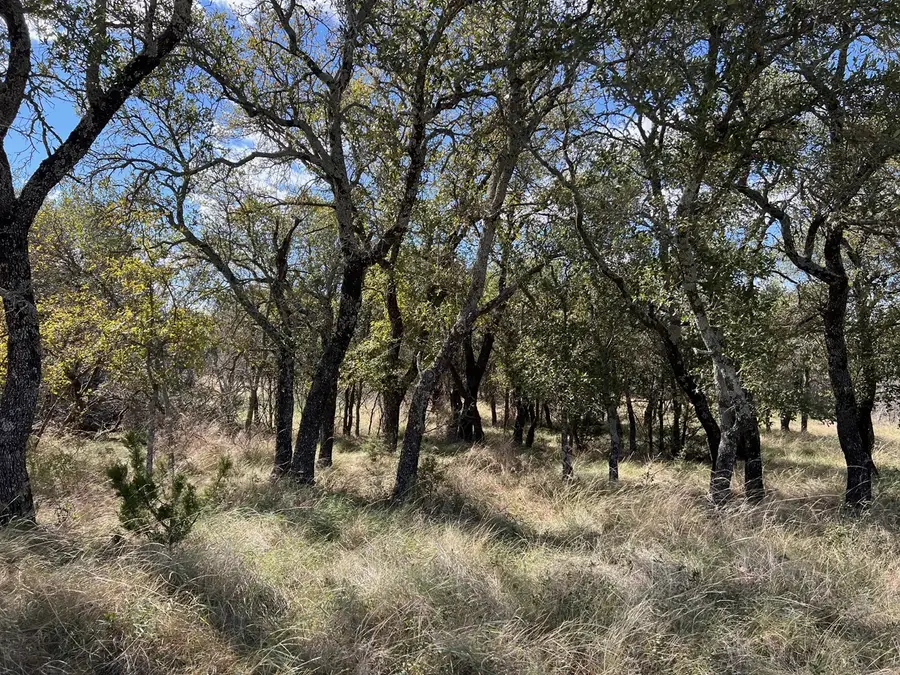TBD - Lot 31 County Road 600, Brownwood, TX 76801 - #2