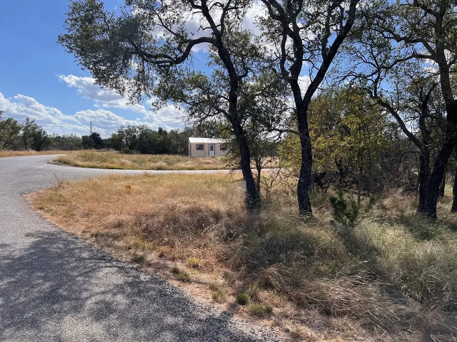 TBD - Lot 31 County Road 600, Brownwood, TX 76801 - #3