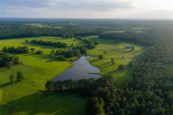 2030 County Road 1640, Grapeland, TX 75844