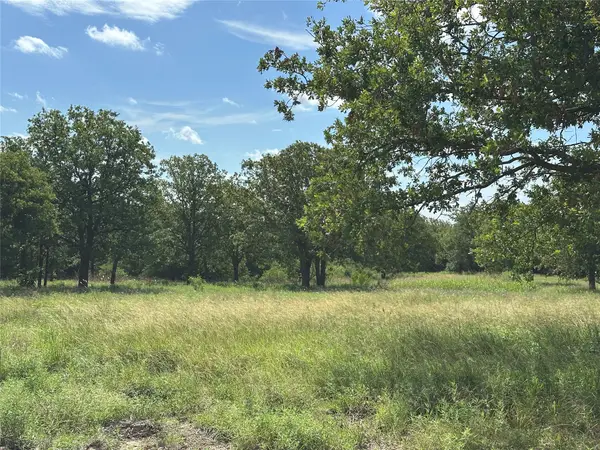 570 Big Salty Lane, Springtown, TX 76082