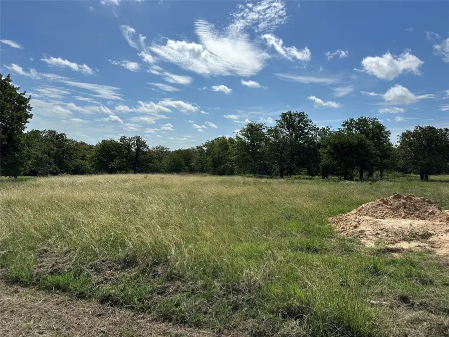 570 Big Salty Lane, Springtown, TX 76082 - #2