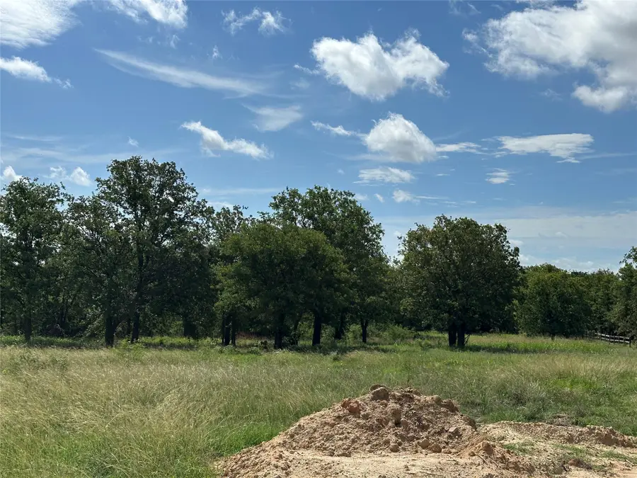 570 Big Salty Lane, Springtown, TX 76082 - #3