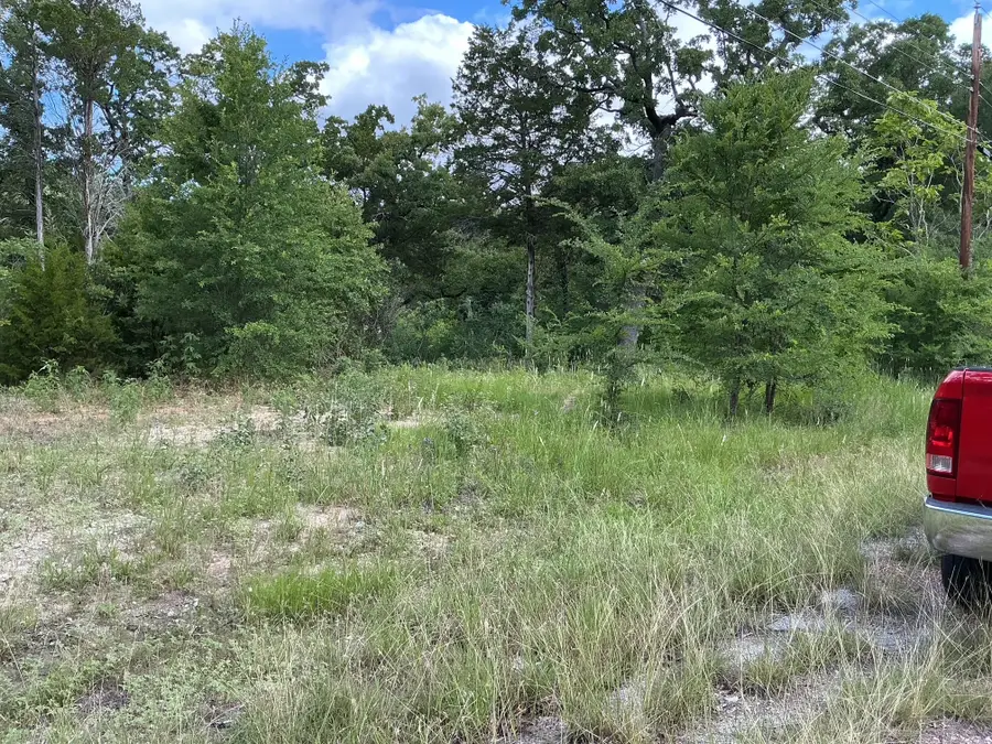 175 Chillacothe Trail, Mabank, TX 75156 - #2