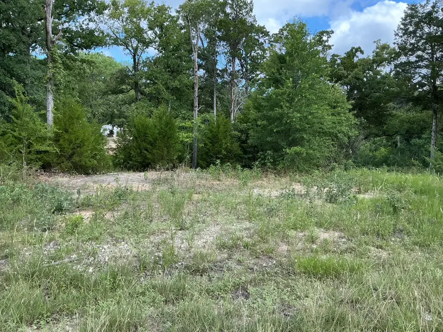 175 Chillacothe Trail, Mabank, TX 75156 - #3