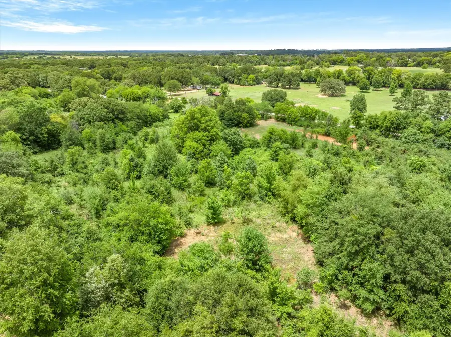 Lot 21 Vz County Road 1205, Canton, TX 75103 - #3