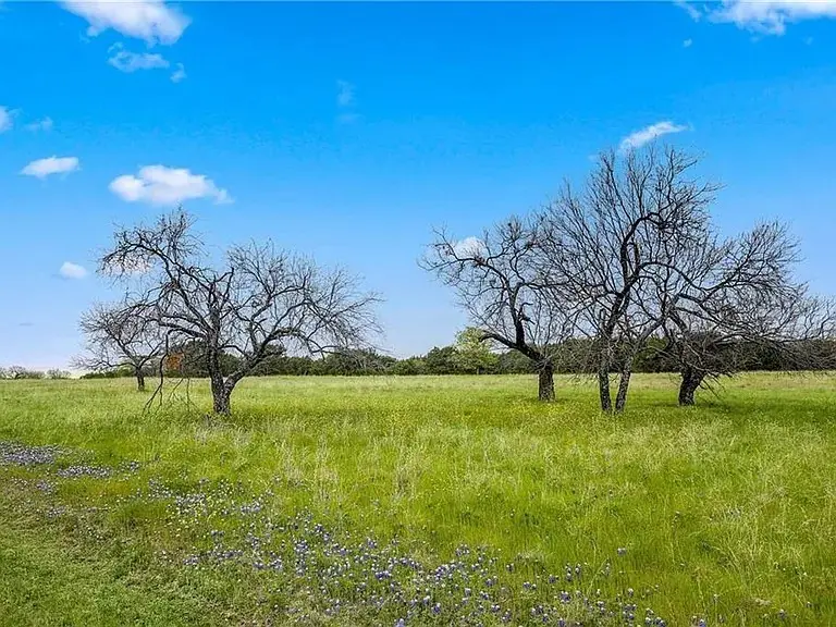 25063 Woodmont Drive, Whitney, TX 76692 - #1