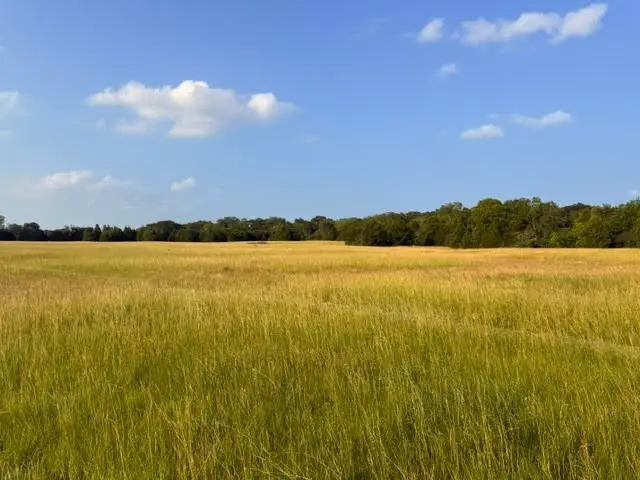 TBD County Road 2500, Eustace, TX 75124 - #2