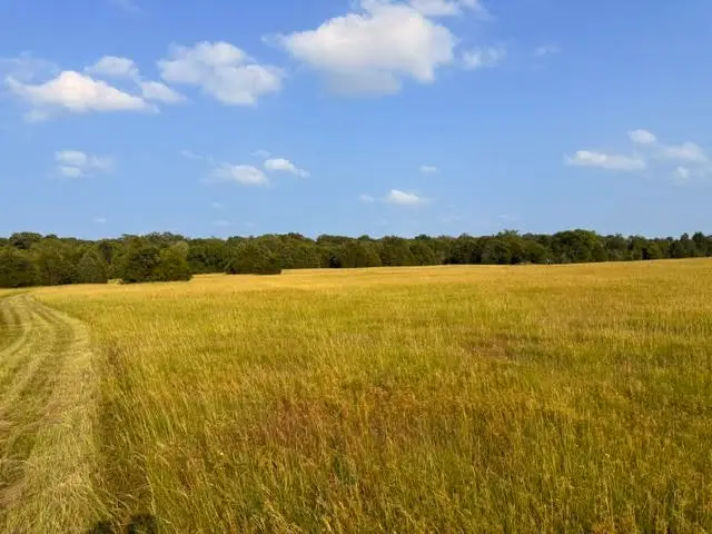 TBD County Road 2500, Eustace, TX 75124 - #3