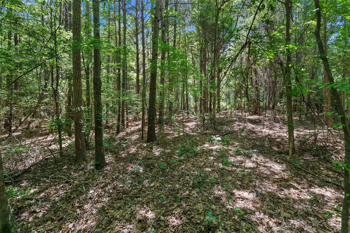 TBD County Rd 3363 #Tract D, De Berry, TX 75639 - #1