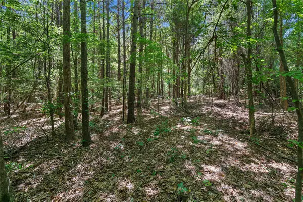 TBD County Rd 3363 #Tract D, De Berry, TX 75639