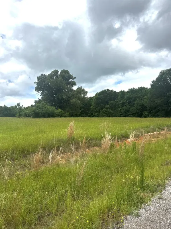 TBD Belles Lane, Brownsboro, TX 75756