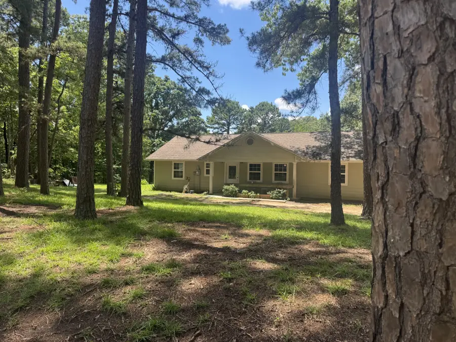 207 Cr 35720, Powderly, TX 75473 - #2