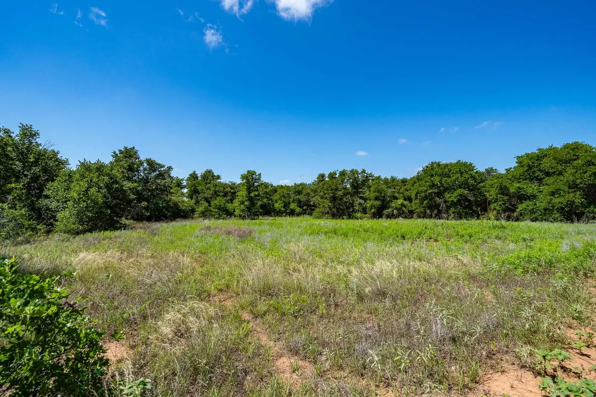 TBD LOT#3 County Road 335, Anson, TX 79501 - #1