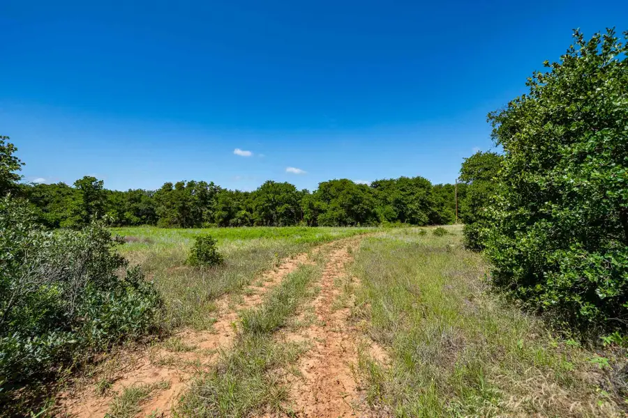 TBD LOT#3 County Road 335, Anson, TX 79501 - #3