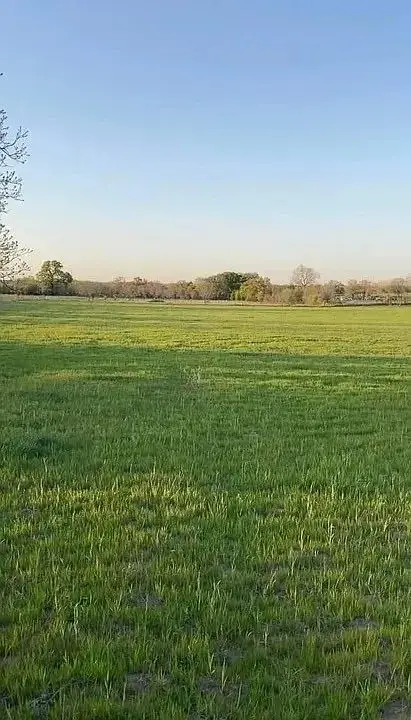 Lot 1 County Road 3424, Bridgeport, TX 76426 - #1